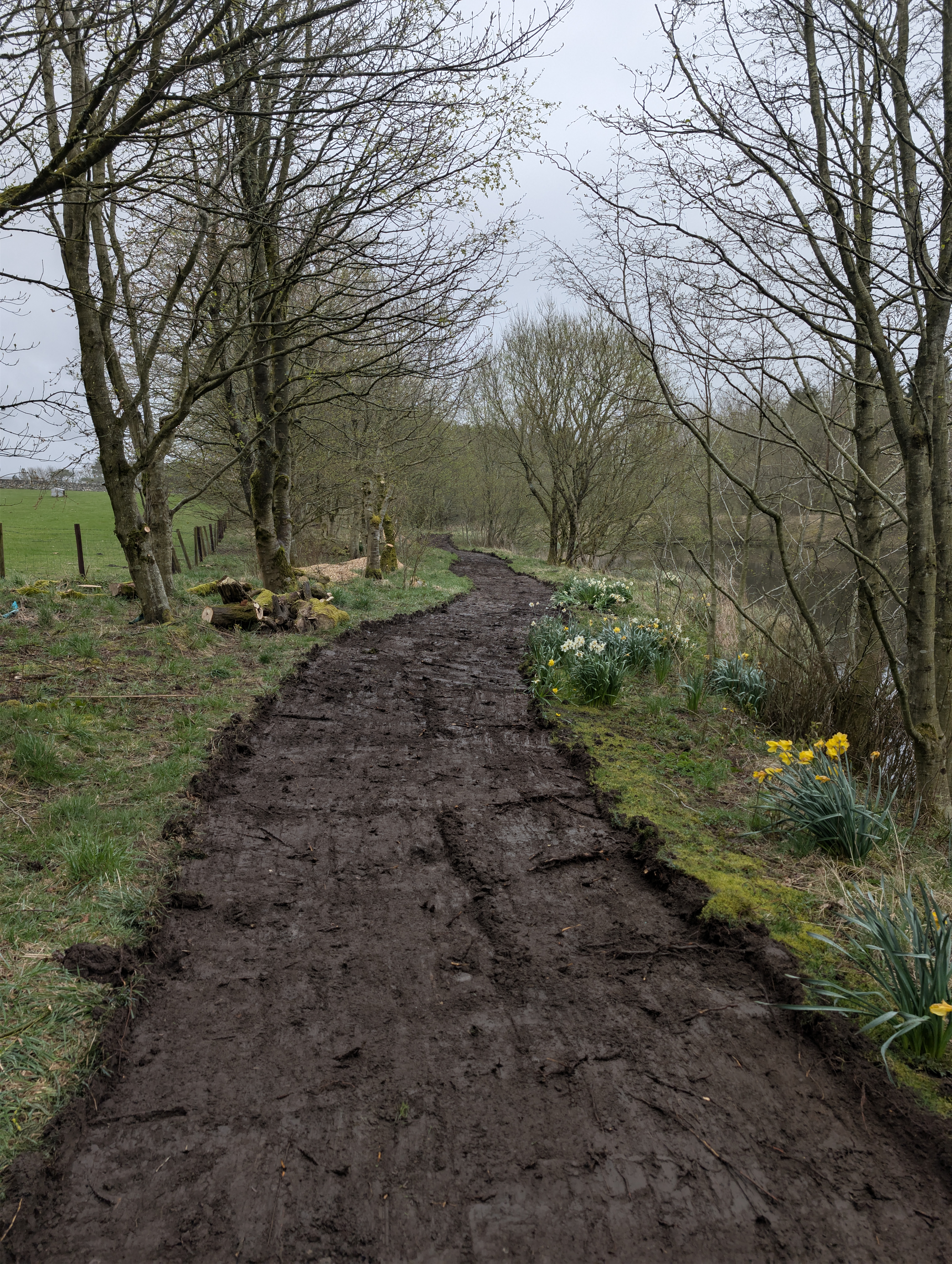 Work has started at Tarn Sike
